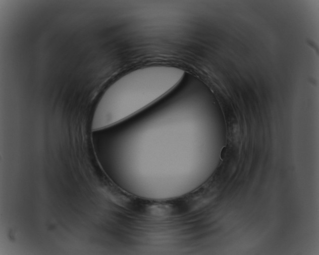 X0000096660508200802051000