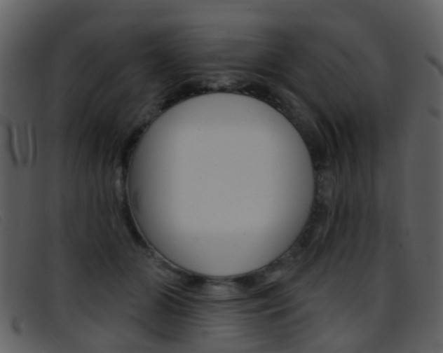 X0000096660510200802051000