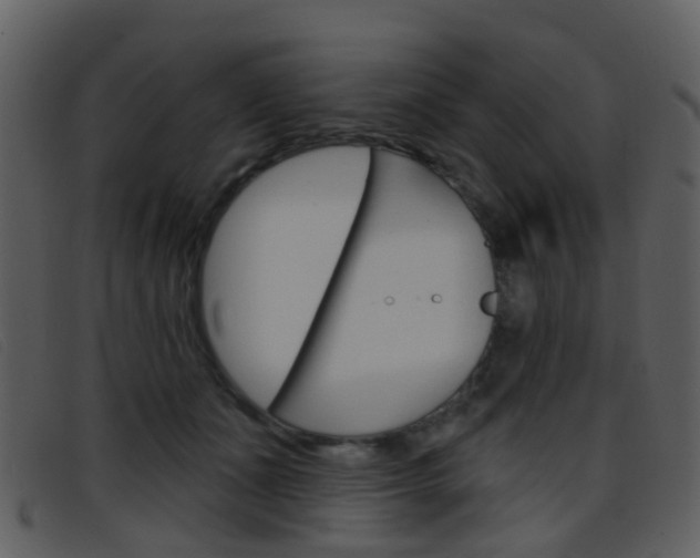 X0000096660511200802051000