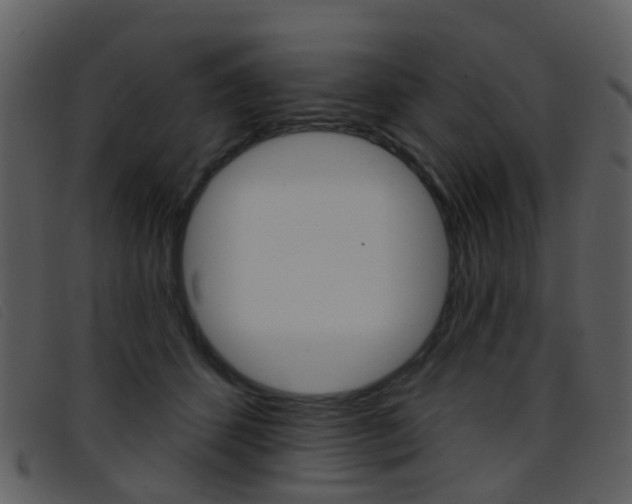 X0000096660512200802051000