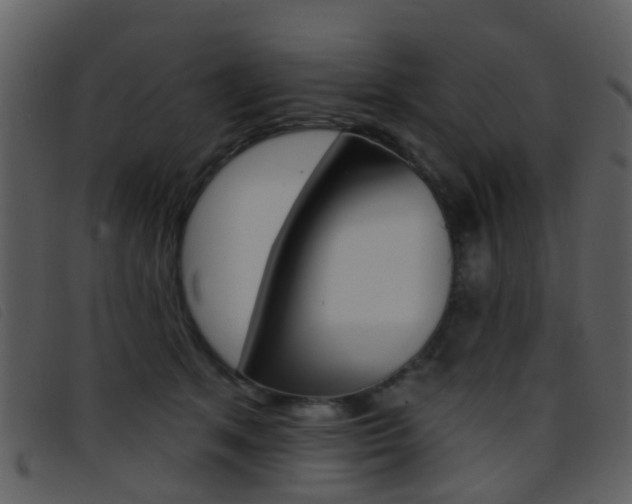X0000096660513200802051000