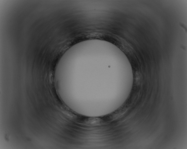 X0000096660514200802051000