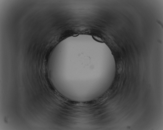 X0000096660515200802051000