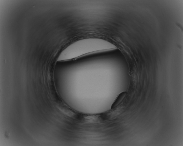 X0000096660516200802051000