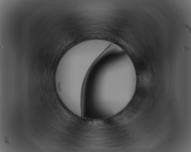 X0000096660517200802051000