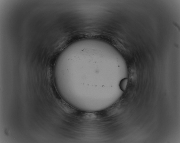 X0000096660519200802051000
