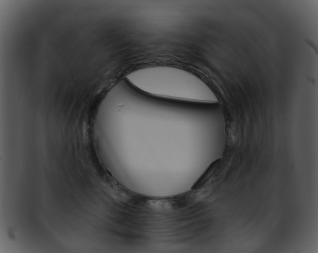 X0000096660520200802050959