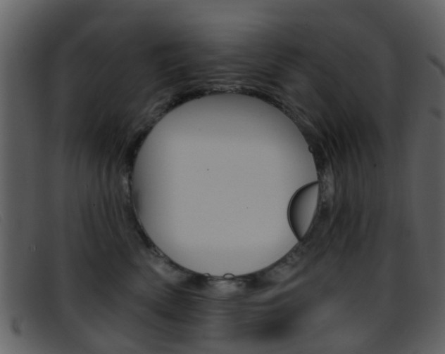 X0000096660522200802050959