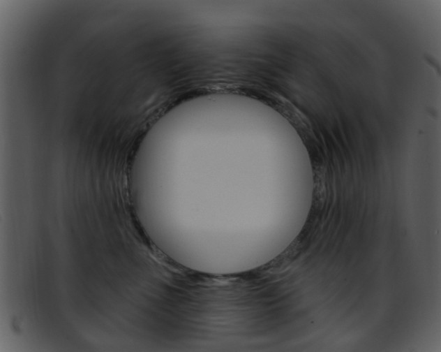 X0000096660523200802050959