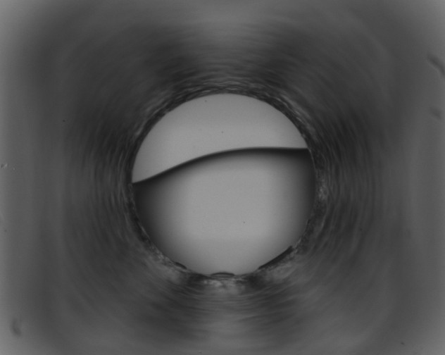 X0000096660524200802050959