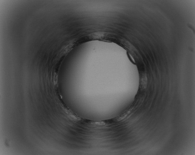 X0000096660525200802050959