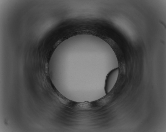 X0000096660526200802050959