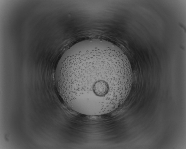 X0000096660527200802050959