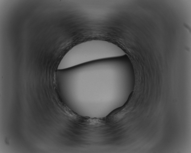 X0000096660528200802050959