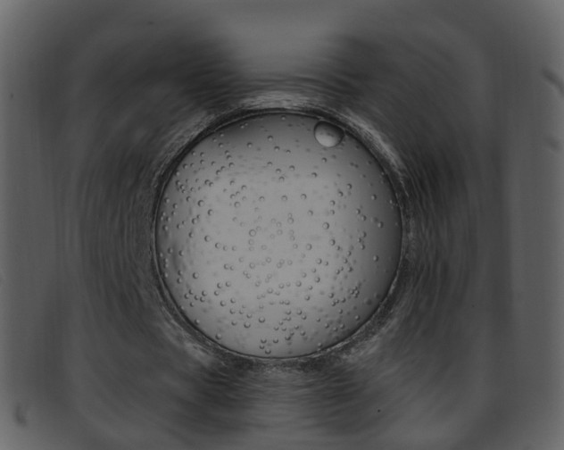 X0000096660529200802050959