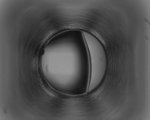 X0000096660530200802050959