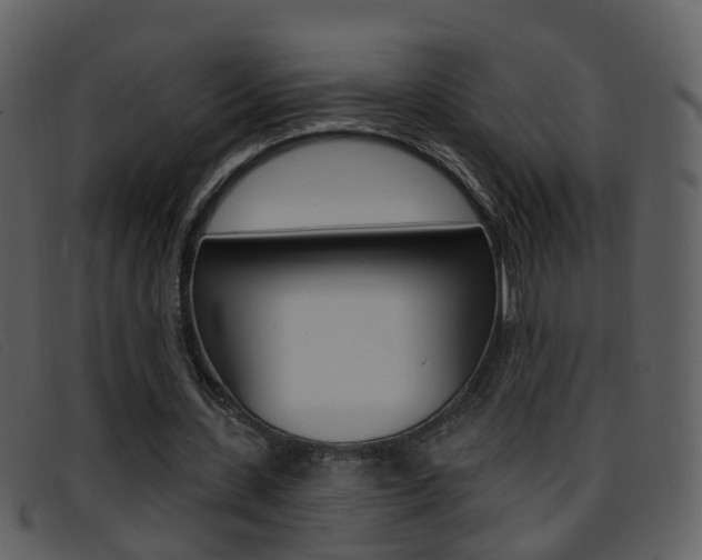 X0000096660531200802050959