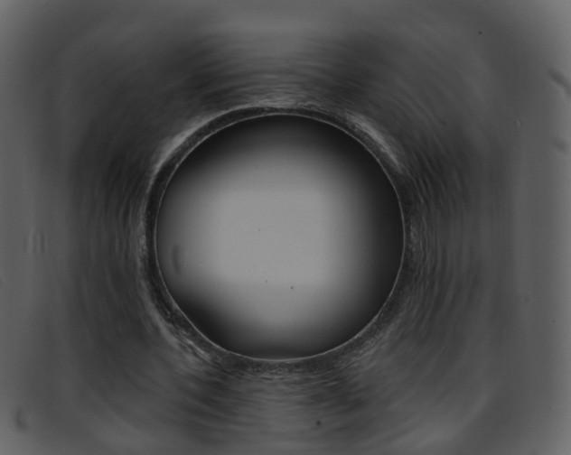 X0000096660532200802050959