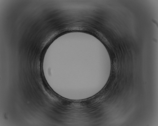 X0000096660534200802050959