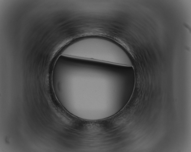 X0000096660535200802050959