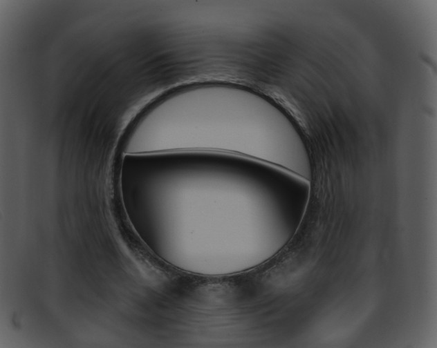 X0000096660536200802050959