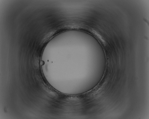 X0000096660537200802050959