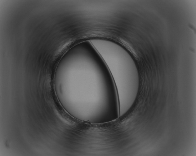 X0000096660538200802050959
