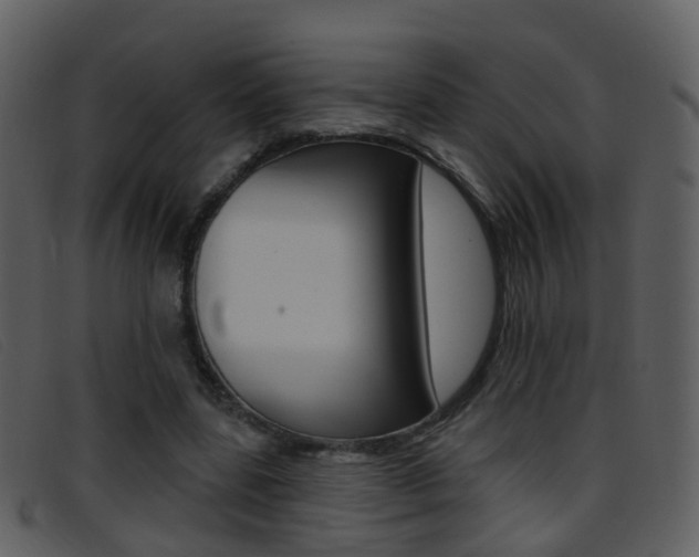 X0000096660539200802050959