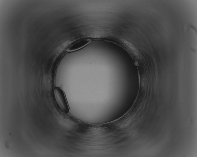 X0000096660540200802050959