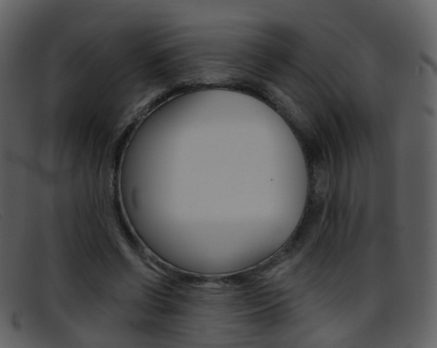 X0000096660542200802050959
