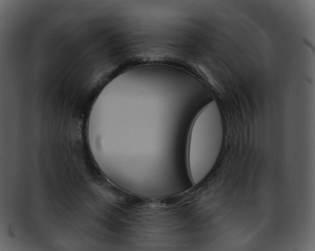 X0000096660543200802050959