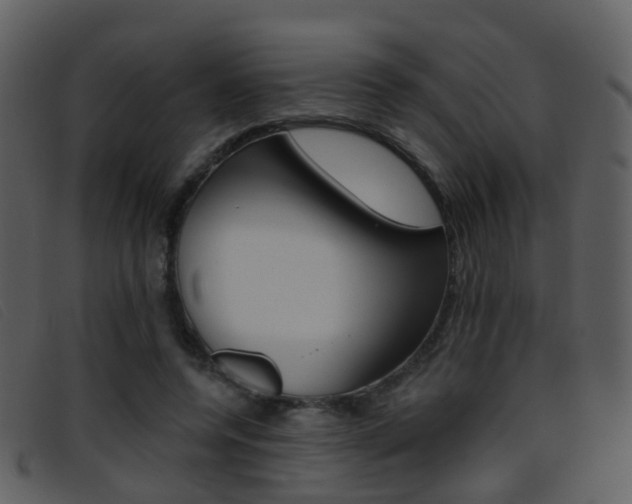 X0000096660544200802050959