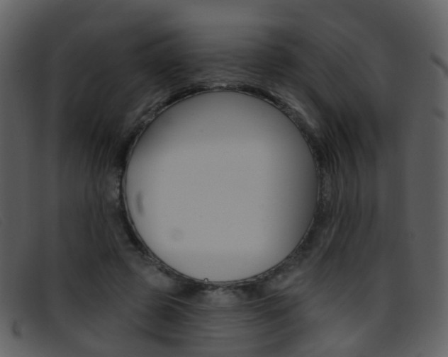 X0000096660545200802050959