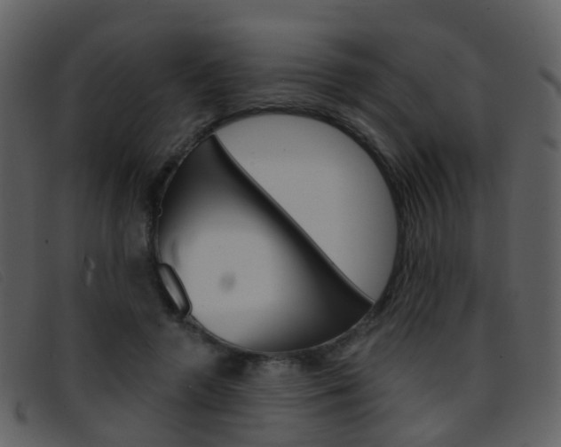 X0000096660546200802050959