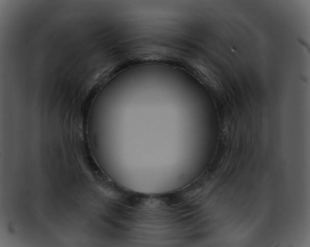 X0000096660547200802050959