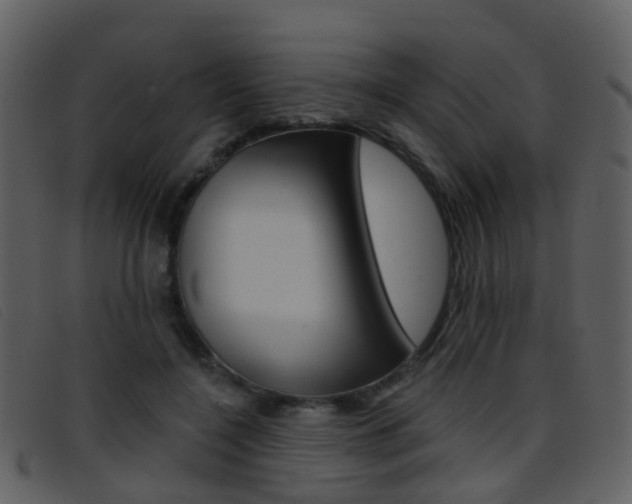 X0000096660548200802050959