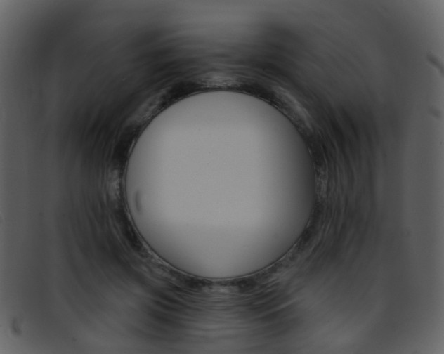 X0000096660549200802050959