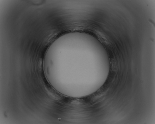 X0000096660550200802050959