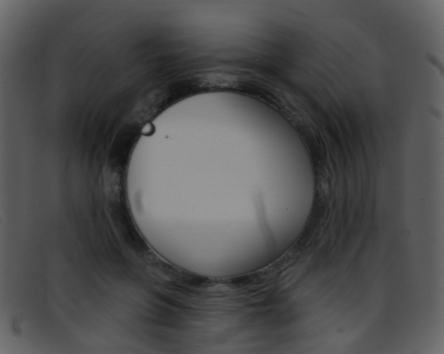 X0000096660551200802050959