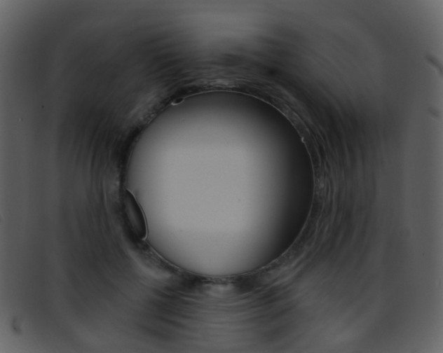 X0000096660552200802050959