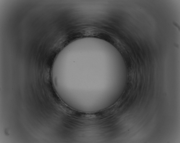 X0000096660554200802050959