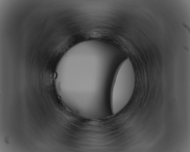 X0000096660555200802050959
