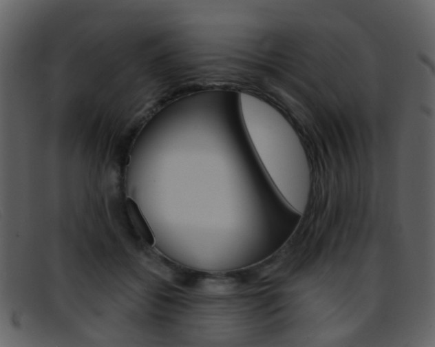 X0000096660556200802050959