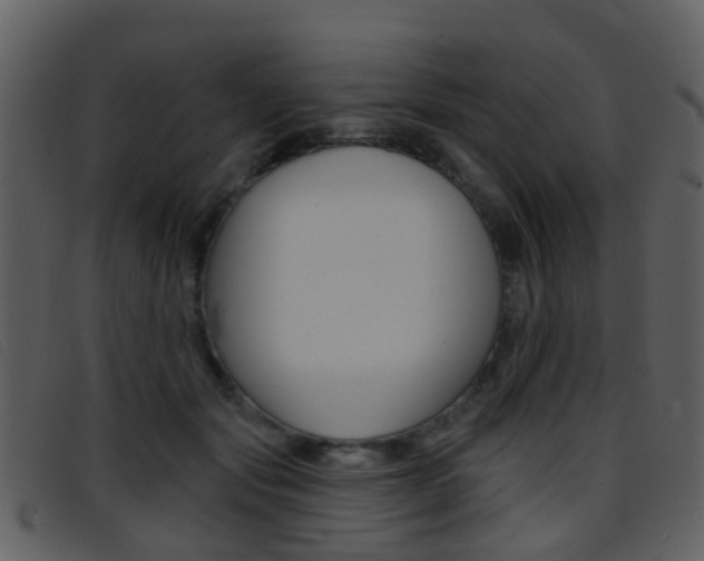X0000096660557200802050959