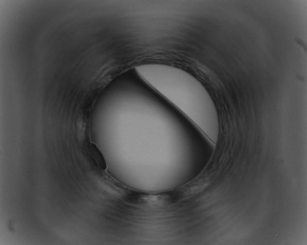 X0000096660558200802050959