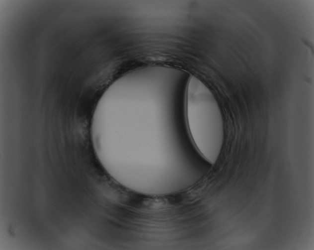 X0000096660559200802050959