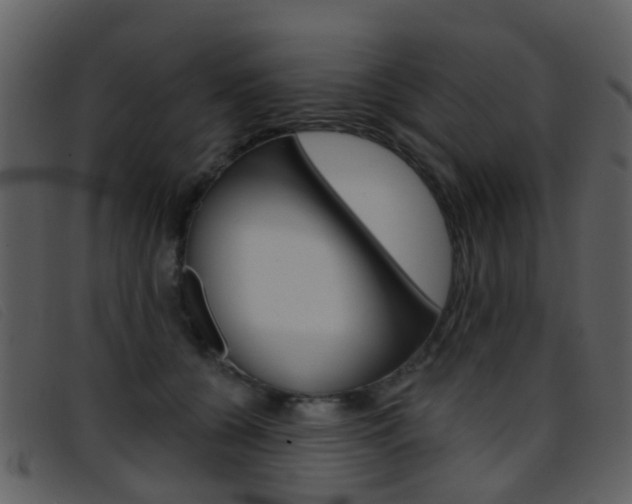 X0000096660560200802050959