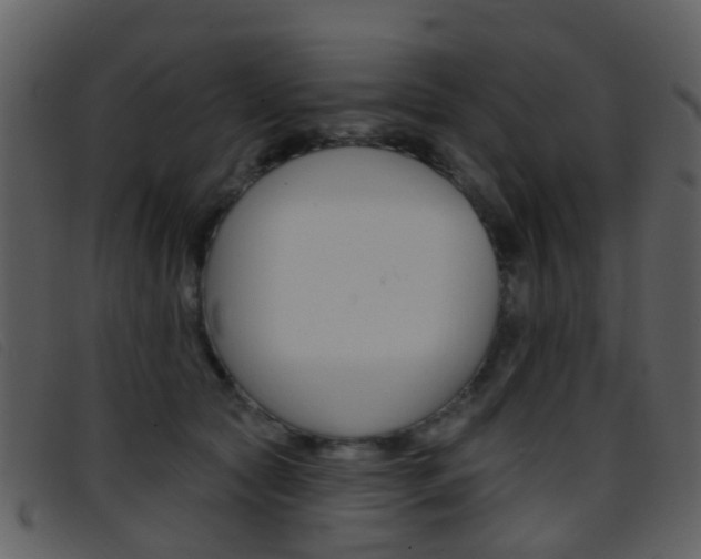 X0000096660561200802050959