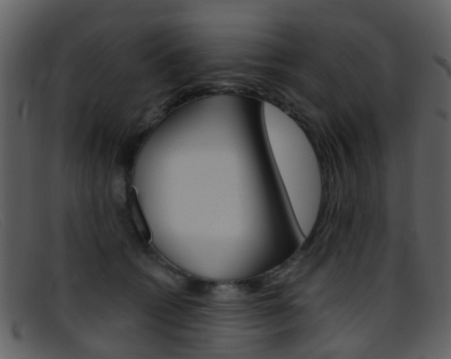 X0000096660562200802050959