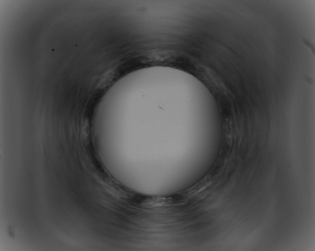 X0000096660563200802050959